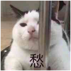 刘飞儿早期写真图片
